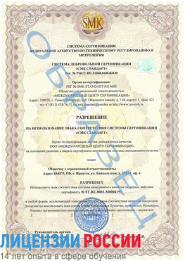 Образец разрешение Песьянка Сертификат ISO 50001
